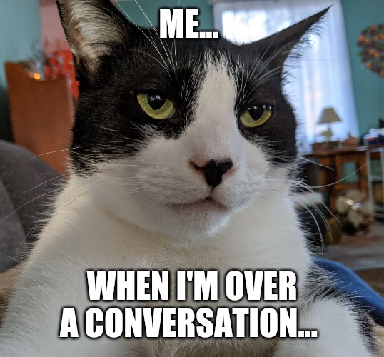 Bored cat | ME... WHEN I'M OVER A CONVERSATION... | image tagged in bored cat | made w/ Imgflip meme maker