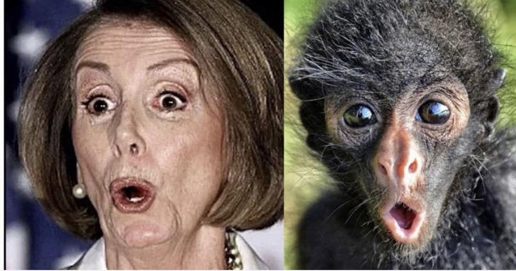 Pelosi/monkey Blank Meme Template