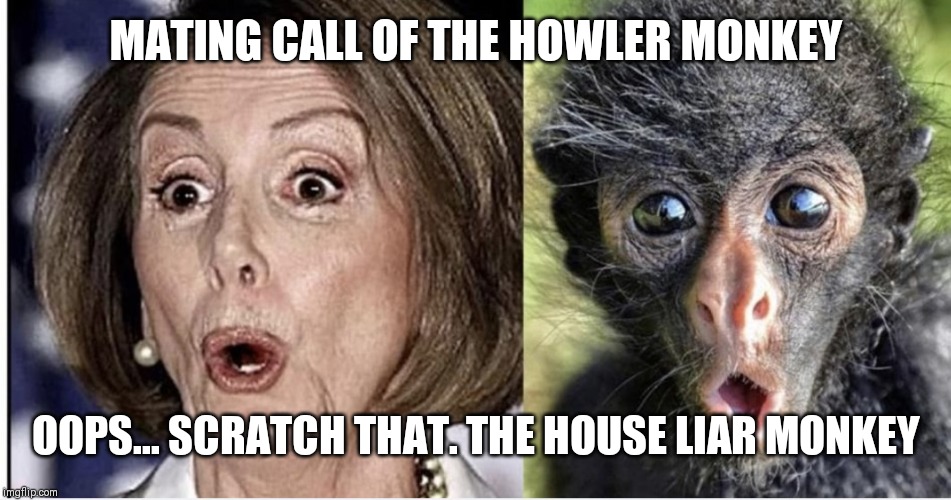 Pelosi/monkey | MATING CALL OF THE HOWLER MONKEY; OOPS... SCRATCH THAT. THE HOUSE LIAR MONKEY | image tagged in pelosi/monkey | made w/ Imgflip meme maker