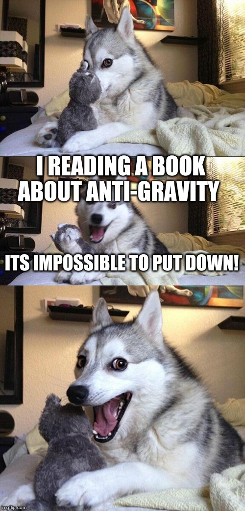 Bad Pun Dog Meme | I READING A BOOK ABOUT ANTI-GRAVITY; ITS IMPOSSIBLE TO PUT DOWN! | image tagged in memes,bad pun dog | made w/ Imgflip meme maker