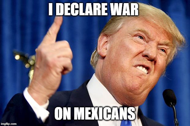 Donald Trump | I DECLARE WAR; ON MEXICANS | image tagged in donald trump | made w/ Imgflip meme maker