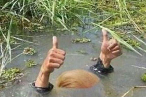 Trump drowns in his own swamp - no drain Blank Meme Template
