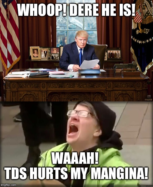  WHOOP! DERE HE IS! WAAAH! 
TDS HURTS MY MANGINA! | image tagged in trump sjw no,trump oval office | made w/ Imgflip meme maker