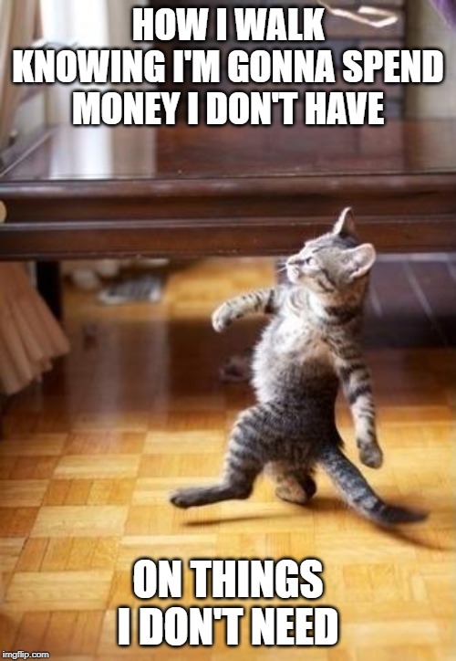 Cool Cat Stroll | HOW I WALK KNOWING I'M GONNA SPEND MONEY I DON'T HAVE; ON THINGS I DON'T NEED | image tagged in memes,cool cat stroll | made w/ Imgflip meme maker