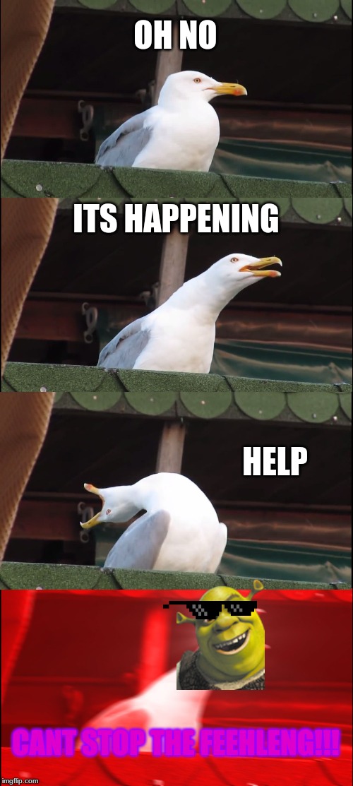 Inhaling Seagull Meme | OH NO; ITS HAPPENING; HELP; CANT STOP THE FEEHLENG!!! | image tagged in memes,inhaling seagull | made w/ Imgflip meme maker