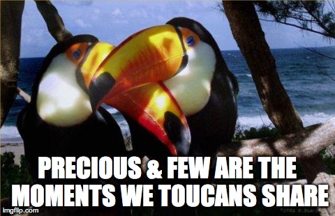 PRECIOUS & FEW ARE THE MOMENTS WE TOUCANS SHARE | made w/ Imgflip meme maker