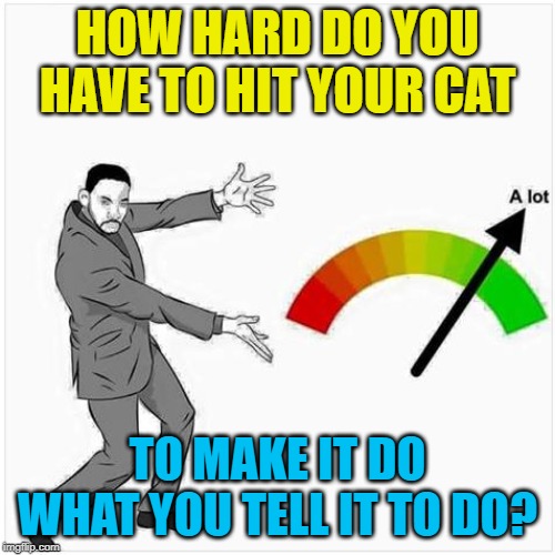 Seriously, I Need To Know The Answer To This Query. | HOW HARD DO YOU HAVE TO HIT YOUR CAT; TO MAKE IT DO WHAT YOU TELL IT TO DO? | image tagged in how much,hitler,cats,funny cats,funny memes | made w/ Imgflip meme maker