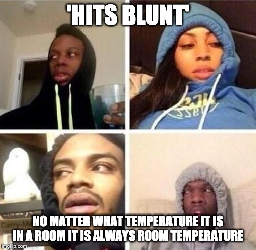 *Hits blunt | 'HITS BLUNT'; NO MATTER WHAT TEMPERATURE IT IS IN A ROOM IT IS ALWAYS ROOM TEMPERATURE | image tagged in hits blunt | made w/ Imgflip meme maker
