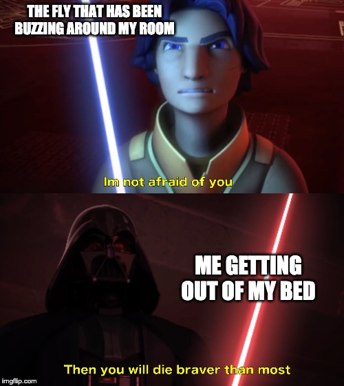 Im not afraid of you | THE FLY THAT HAS BEEN BUZZING AROUND MY ROOM; ME GETTING OUT OF MY BED | image tagged in im not afraid of you | made w/ Imgflip meme maker
