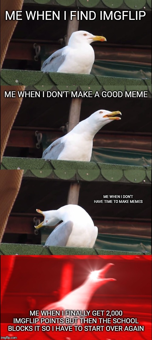 Inhaling Seagull Meme | ME WHEN I FIND IMGFLIP; ME WHEN I DON'T MAKE A GOOD MEME; ME WHEN I DON'T HAVE TIME TO MAKE MEMES; ME WHEN I FINALLY GET 2,000 IMGFLIP POINTS BUT THEN THE SCHOOL BLOCKS IT SO I HAVE TO START OVER AGAIN | image tagged in memes,inhaling seagull | made w/ Imgflip meme maker