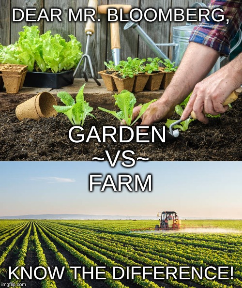 DEAR MR. BLOOMBERG, GARDEN 
~VS~
FARM; KNOW THE DIFFERENCE! | image tagged in gardening | made w/ Imgflip meme maker