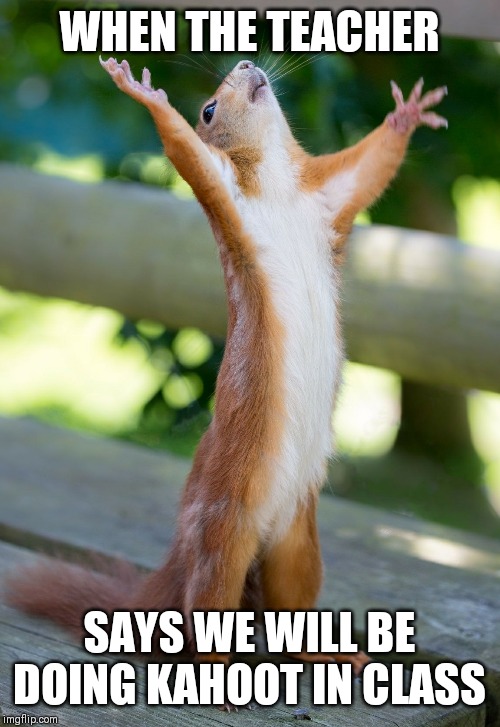 Squirrel praising the lord | WHEN THE TEACHER; SAYS WE WILL BE DOING KAHOOT IN CLASS | image tagged in teachers,school | made w/ Imgflip meme maker
