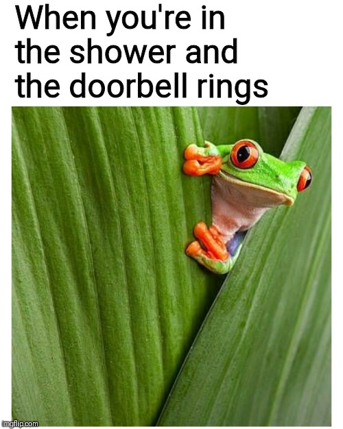 Frog peeking out from leaf | When you're in the shower and the doorbell rings | image tagged in frog peeking out from leaf | made w/ Imgflip meme maker