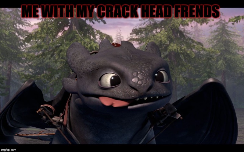 Drunk Toothless | ME WITH MY CRACK HEAD FRENDS | image tagged in drunk toothless | made w/ Imgflip meme maker