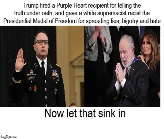 Purple Heart Veteran Fired Telling Truth Racist Receives Medal | COVELL BELLAMY III | image tagged in purple heart veteran fired telling truth racist receives medal | made w/ Imgflip meme maker