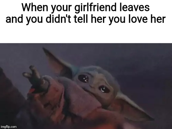Baby yoda cry | When your girlfriend leaves and you didn't tell her you love her | image tagged in baby yoda cry | made w/ Imgflip meme maker
