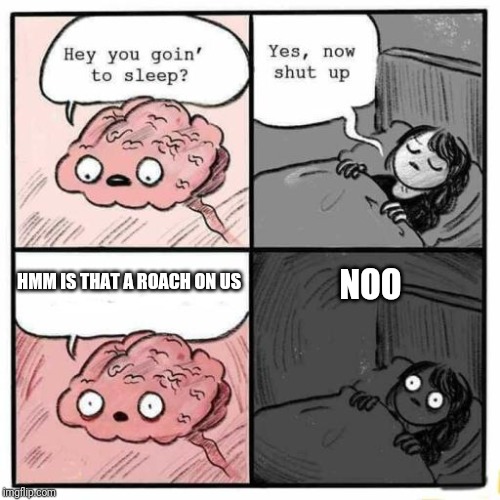Hey you going to sleep? | NOO; HMM IS THAT A ROACH ON US | image tagged in hey you going to sleep | made w/ Imgflip meme maker