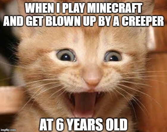 Excited Cat | WHEN I PLAY MINECRAFT AND GET BLOWN UP BY A CREEPER; AT 6 YEARS OLD | image tagged in memes,excited cat | made w/ Imgflip meme maker