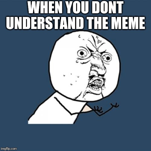 Y U No Meme | WHEN YOU DONT UNDERSTAND THE MEME | image tagged in memes,y u no | made w/ Imgflip meme maker