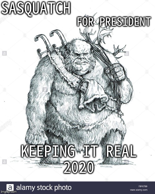 sasquatch for president | SASQUATCH; FOR PRESIDENT; KEEPING IT REAL
2020 | image tagged in sasquatch for president | made w/ Imgflip meme maker