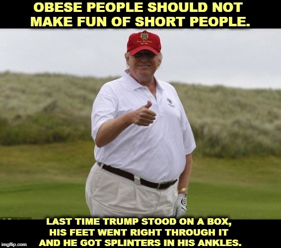 Trump, the Paragon of Physical Perfection. "Hey, fatso! Yeah, you!" | OBESE PEOPLE SHOULD NOT 
MAKE FUN OF SHORT PEOPLE. LAST TIME TRUMP STOOD ON A BOX, 
HIS FEET WENT RIGHT THROUGH IT 
AND HE GOT SPLINTERS IN HIS ANKLES. | image tagged in trump the physically perfect man,trump,fat,obese,big ass,elephant | made w/ Imgflip meme maker