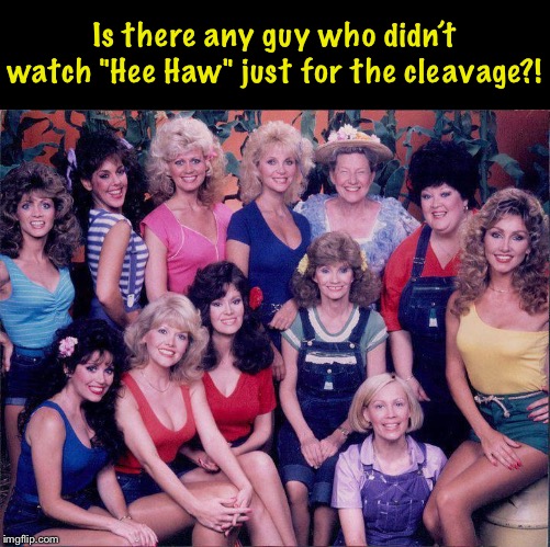 Hee Haw Honeys | Is there any guy who didn’t watch "Hee Haw" just for the cleavage?! | image tagged in 1980s | made w/ Imgflip meme maker