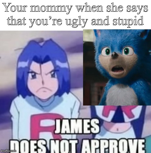 James does not approve this | Your mommy when she says that you’re ugly and stupid | image tagged in james does not approve this | made w/ Imgflip meme maker
