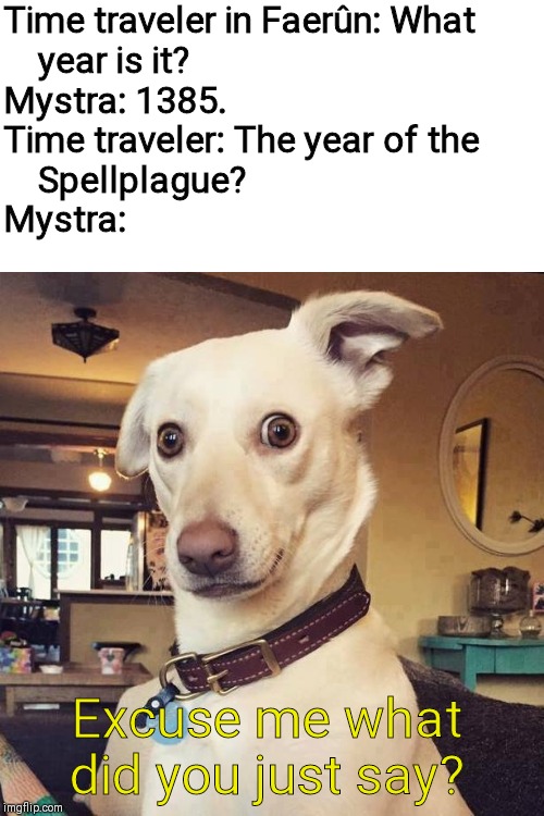 The Whonowwhatawhat? |  Time traveler in Faerûn: What 
    year is it?
Mystra: 1385.
Time traveler: The year of the   
    Spellplague?
Mystra:; Excuse me what did you just say? | image tagged in what did you say,dungeons and dragons,forgotten realms,dogs | made w/ Imgflip meme maker