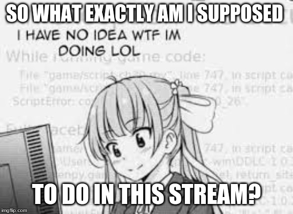 SO WHAT EXACTLY AM I SUPPOSED; TO DO IN THIS STREAM? | made w/ Imgflip meme maker