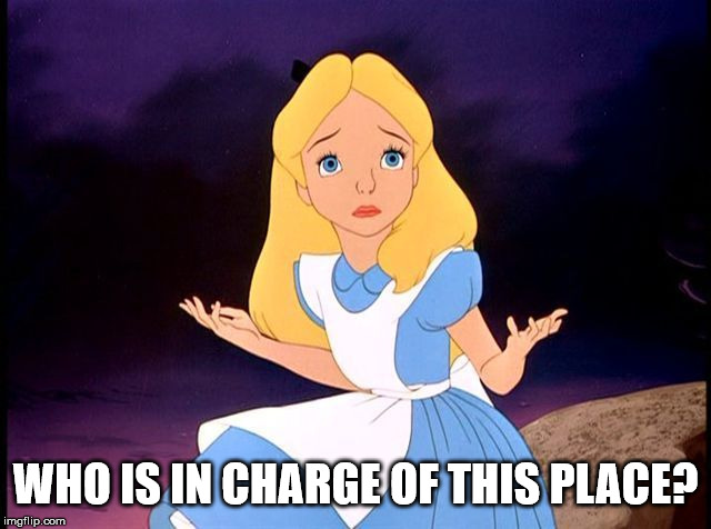 Alice in Wonderland | WHO IS IN CHARGE OF THIS PLACE? | image tagged in alice in wonderland | made w/ Imgflip meme maker