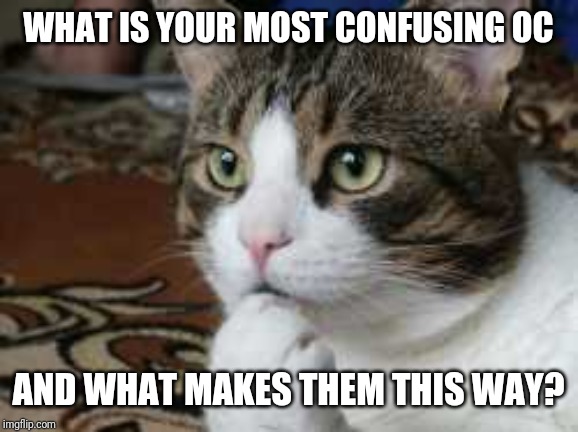 Ponder cat | WHAT IS YOUR MOST CONFUSING OC; AND WHAT MAKES THEM THIS WAY? | image tagged in ponder cat | made w/ Imgflip meme maker