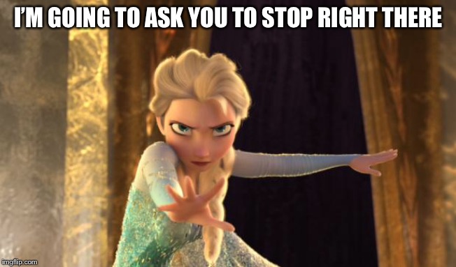Frozen Elsa | I’M GOING TO ASK YOU TO STOP RIGHT THERE | image tagged in frozen elsa | made w/ Imgflip meme maker