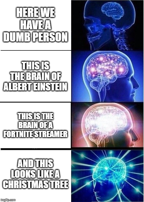 Expanding Brain | HERE WE HAVE A DUMB PERSON; THIS IS THE BRAIN OF ALBERT EINSTEIN; THIS IS THE BRAIN OF A FORTNITE STREAMER; AND THIS LOOKS LIKE A CHRISTMAS TREE | image tagged in memes,expanding brain | made w/ Imgflip meme maker