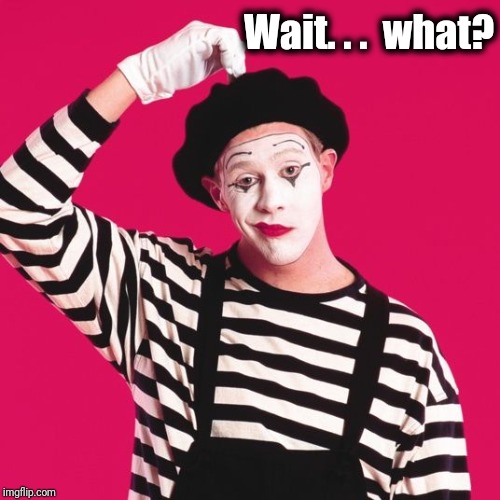 confused mime | Wait. . .  what? | image tagged in confused mime | made w/ Imgflip meme maker