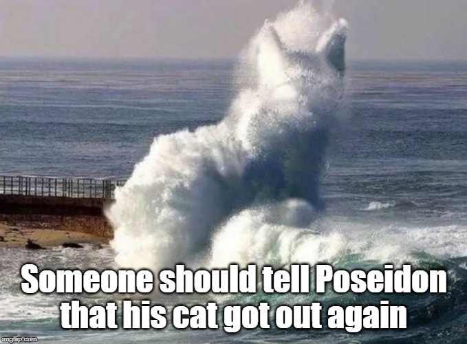 Poseidon's cat | Someone should tell Poseidon that his cat got out again | image tagged in cat humor,poseidon | made w/ Imgflip meme maker