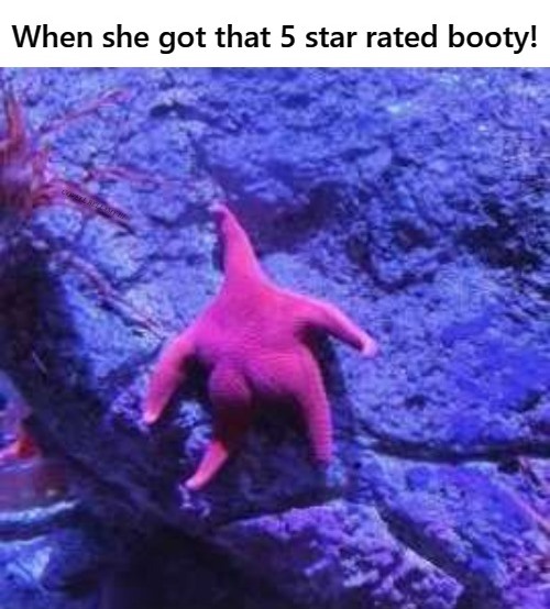 That 5 Star Rated Booty Blank Meme Template