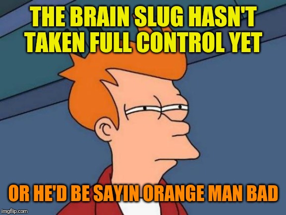 Futurama Fry Meme | THE BRAIN SLUG HASN'T TAKEN FULL CONTROL YET OR HE'D BE SAYIN ORANGE MAN BAD | image tagged in memes,futurama fry | made w/ Imgflip meme maker