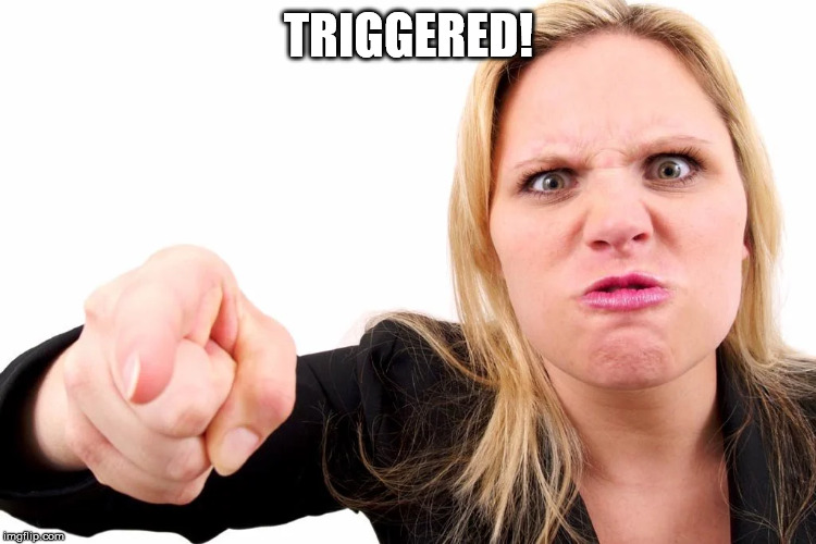 Offended woman | TRIGGERED! | image tagged in offended woman | made w/ Imgflip meme maker