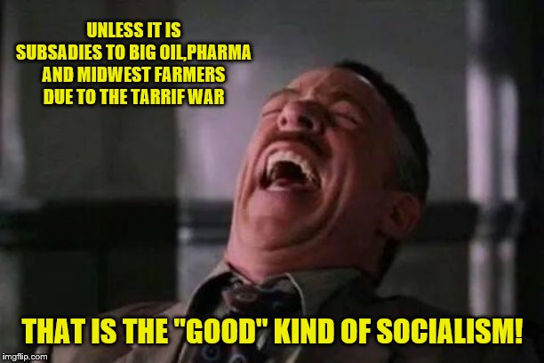 laughing guy | UNLESS IT IS SUBSADIES TO BIG OIL,PHARMA AND MIDWEST FARMERS DUE TO THE TARRIF WAR THAT IS THE "GOOD" KIND OF SOCIALISM! | image tagged in laughing guy | made w/ Imgflip meme maker