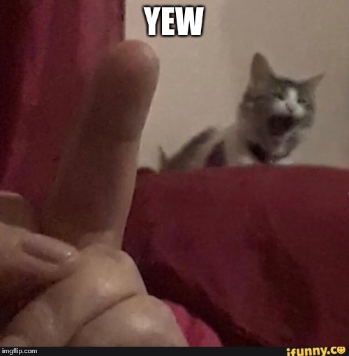 YEW | made w/ Imgflip meme maker