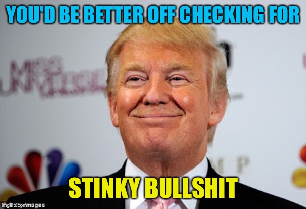 Donald trump approves | YOU'D BE BETTER OFF CHECKING FOR STINKY BULLSHIT | image tagged in donald trump approves | made w/ Imgflip meme maker