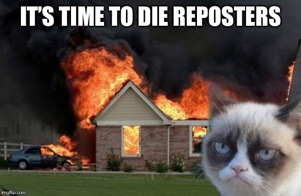 Burn Kitty Meme | IT’S TIME TO DIE REPOSTERS | image tagged in memes,burn kitty,grumpy cat | made w/ Imgflip meme maker