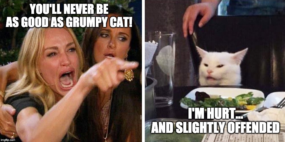 Smudge the cat | YOU'LL NEVER BE AS GOOD AS GRUMPY CAT! I'M HURT...
AND SLIGHTLY OFFENDED | image tagged in smudge the cat | made w/ Imgflip meme maker