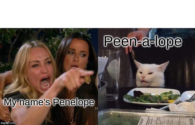 Woman Yelling At Cat | Peen-a-lope; My name's Penelope | image tagged in memes,woman yelling at cat | made w/ Imgflip meme maker