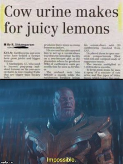 image tagged in thanos impossible,cow urine | made w/ Imgflip meme maker