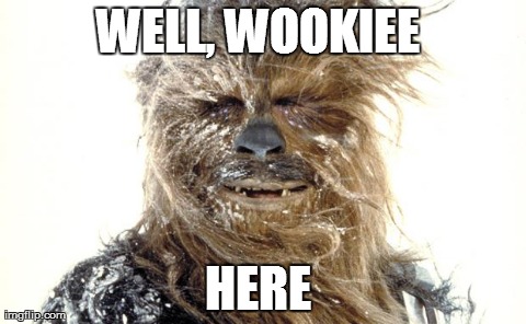 WELL, WOOKIEE  HERE | image tagged in wookiee  | made w/ Imgflip meme maker