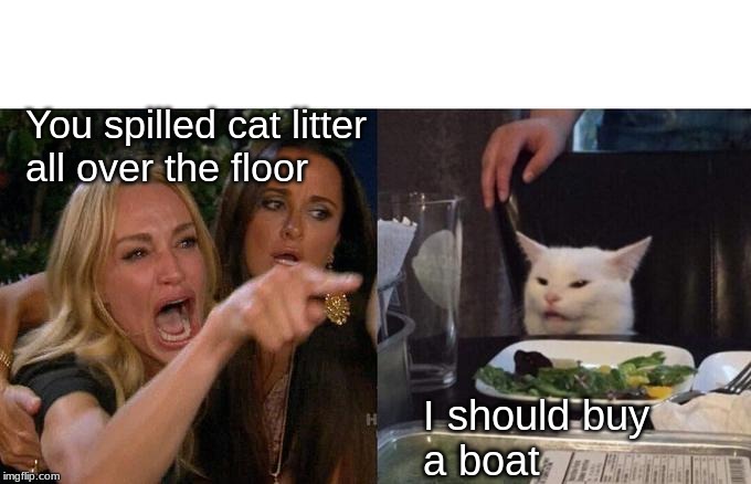 Woman Yelling At Cat | You spilled cat litter
all over the floor; I should buy
  a boat | image tagged in memes,woman yelling at cat | made w/ Imgflip meme maker