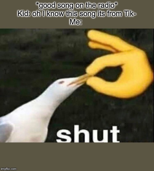 SHUT | *good song on the radio*
Kid: oh I know this song its from Tik-
Me: | image tagged in shut | made w/ Imgflip meme maker