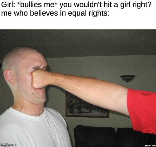 Face punch | Girl: *bullies me* you wouldn't hit a girl right?
me who believes in equal rights: | image tagged in face punch | made w/ Imgflip meme maker