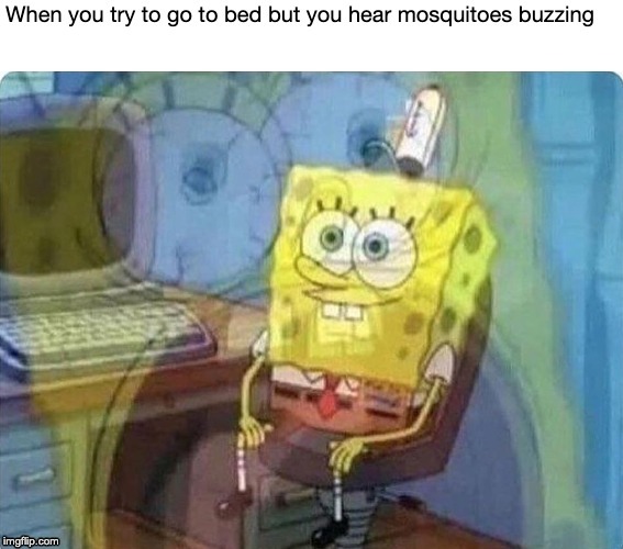 I. Hate. Mosquitoes. | image tagged in mosquitoes,spongebob screaming,memes | made w/ Imgflip meme maker